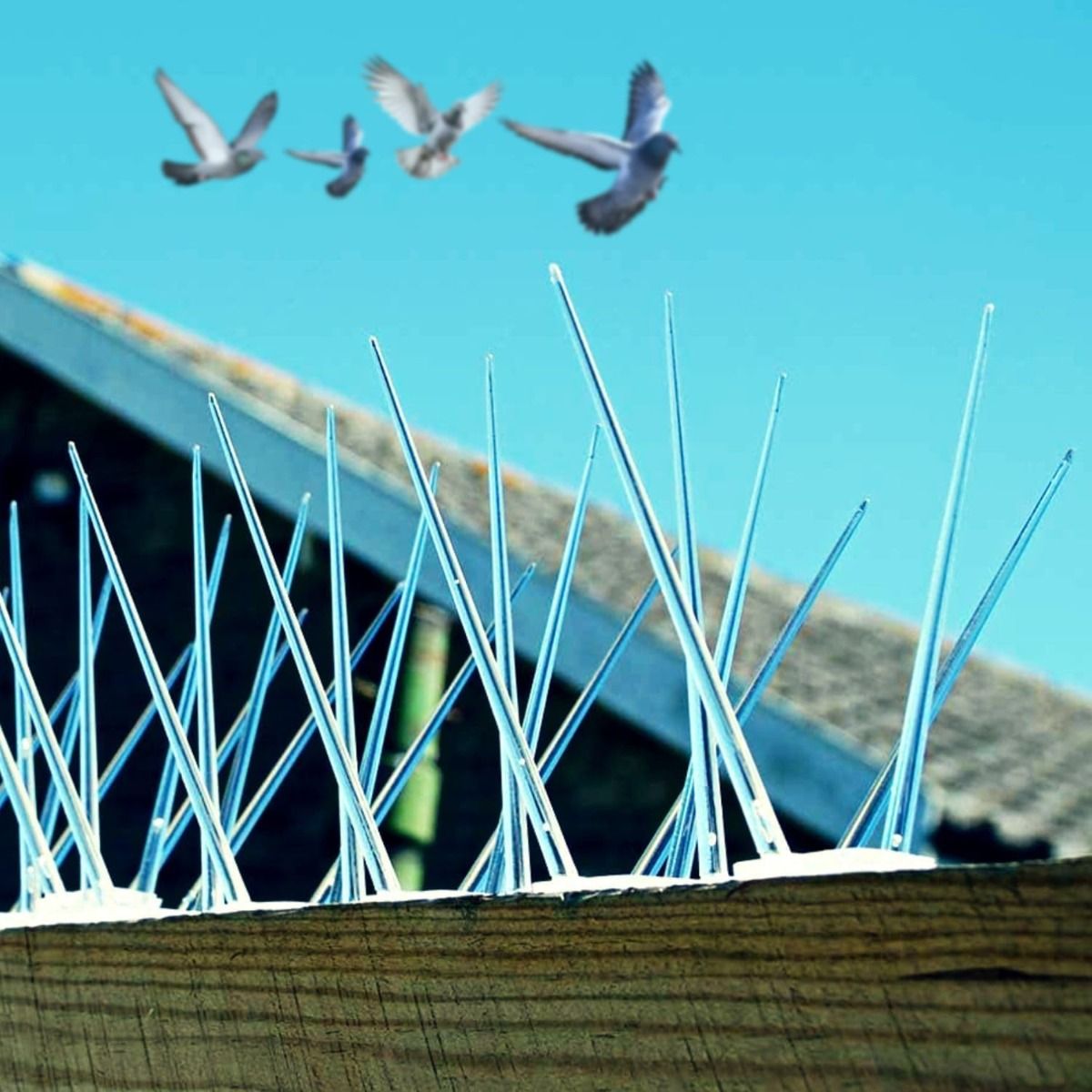 bird spikes