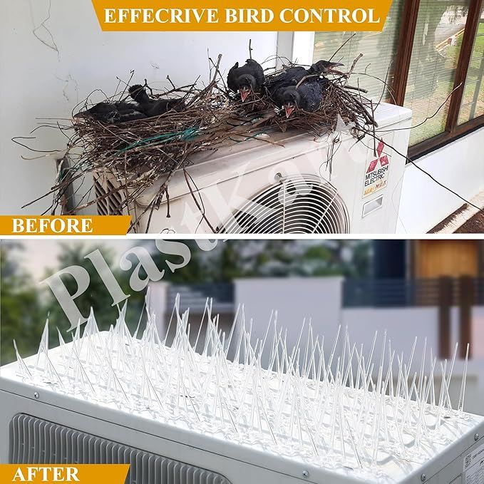 bird spikes1