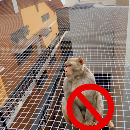 monkey safety nets