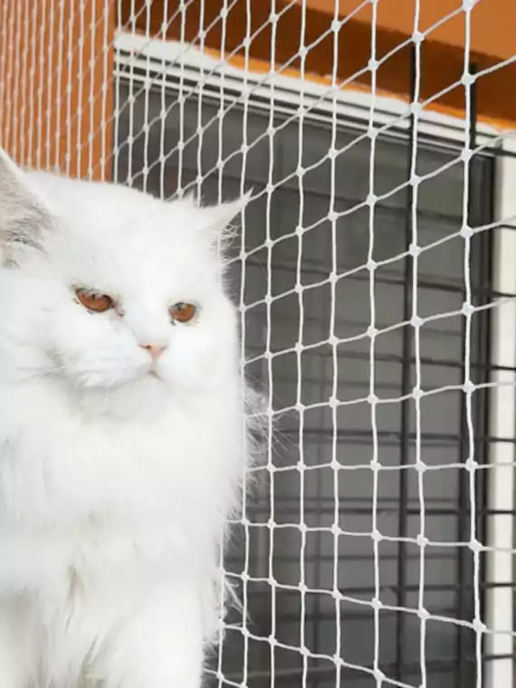 pets safety nets